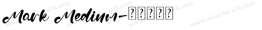 Mark Medium字体转换